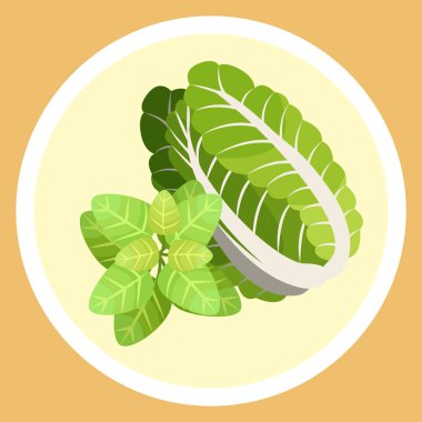 Çin lahanası ve fesleğen yaprakları, doğal organik sebze ve salata için yeşillik, mutfak.