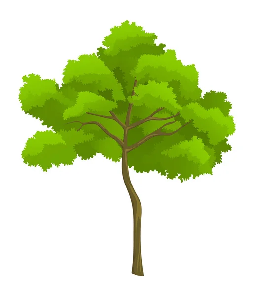 Illustration de dessin animé d'un arbre vert isolé sur fond blanc, arbre avec couronne, icône raster — Image vectorielle