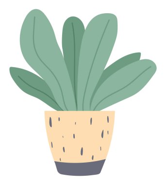 Saksıda ya da saksıda yetişen bitki. Yeşil ev bitkisi ve çiçek