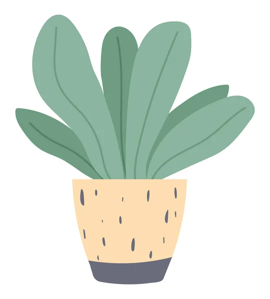 Plante poussant en pot ou en jardinière. Plante d'intérieur verte et fleur — Image vectorielle