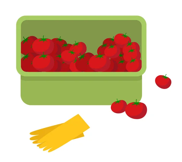 Saftige Tomate. Frisches reifes Gemüse in Plastikbox und gelben Gartenhandschuhen — Stockvektor