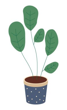 Seramik kapta kısa yapraklı dekoratif yeşil bitki, saksıda saksı. Ev içi fabrika