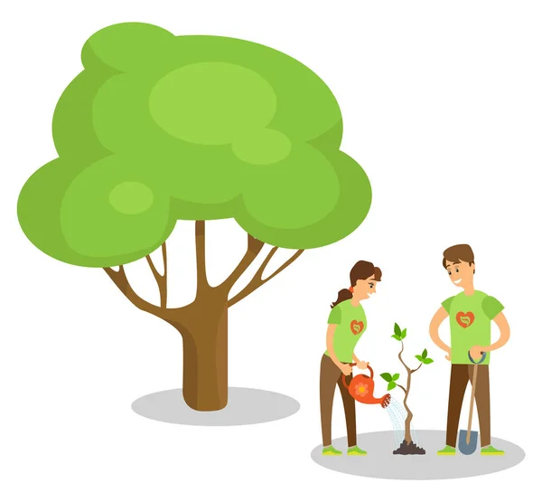 Volunteers Planting Tree Cartoon People Isolated — Stock Vector