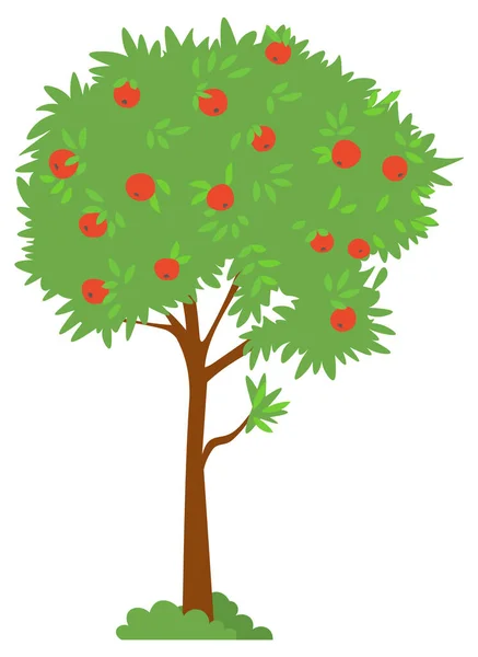 Zbieranie jabłoni, zielone drzewo z wektorem dojrzałego produktu — Wektor stockowy