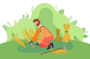 Tulum giyip tarlada buğday toplayan çiftçi. Tarım, sonbahar hasadı