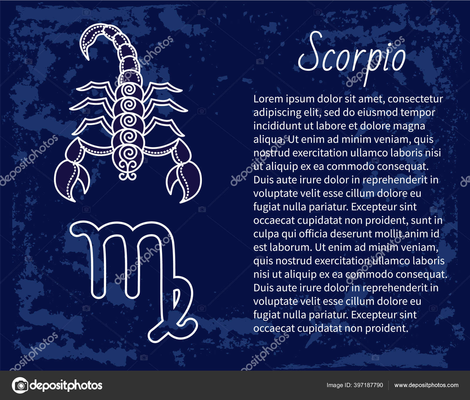 Scorpio Zodiac Sign Astrology and Horoscope Vector Stock Vector by ...