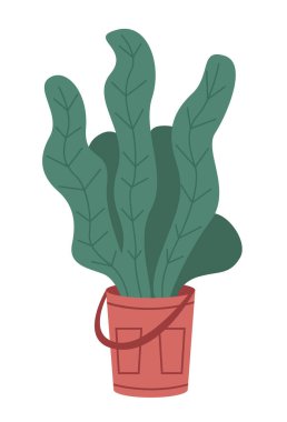 Seramik çömlekte uzun yapraklı dekoratif yeşil bitki, saksıda saksı. Ev içi fabrika