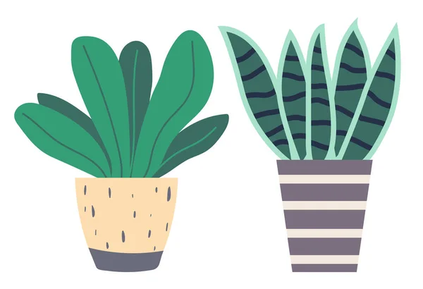 Plantas que crescem em vasos ou plantadores. Conjunto de plantas de interior verdes e flores — Vetor de Stock
