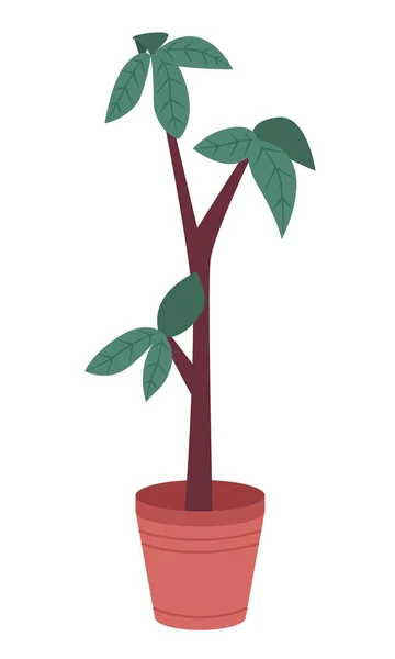 Dekorativer Topfbaum im Topf isoliert auf weißem Hintergrund, Zimmerpflanze im Blumentopf, Dekoration im Freien — Stockvektor