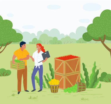 Konteynırda Elma Toplama, Yerel Meyve Vektörü