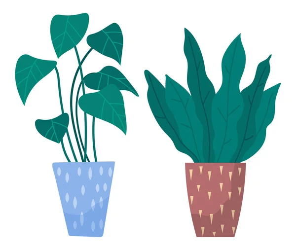 Zestaw dekoracyjny zielona roślina z długimi liśćmi w ceramicznym garnku, doniczka z rośliną domową. Wnętrze domu — Wektor stockowy
