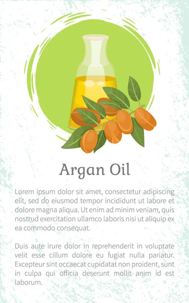 Информация об аргановой нефти в бутылке, Аргания — стоковый вектор