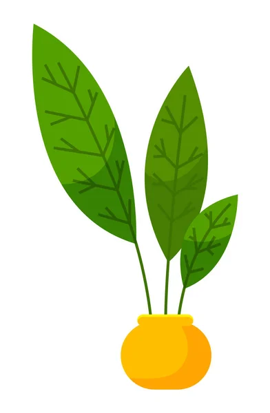 Декоративное зеленое растение с длинными листьями в керамическом горшке, горшок с ковшом. Внутренняя растительность — стоковый вектор