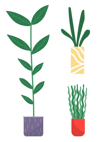 Διακοσμητικό σετ πράσινο φυτό με μακριά φύλλα σε κεραμική κατσαρόλα, κατσαρόλα με φυτό εσωτερικού χώρου. Μονάδα εσωτερικού χώρου — Διανυσματικό Αρχείο