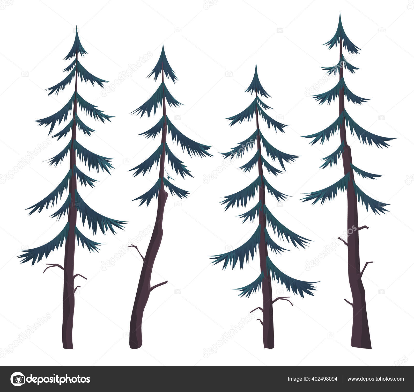 一组矢量松树、云杉或冷杉。针叶林。动植物群。平面矢量图像图库矢量图©robuart 402498094, image size:1600x1514
