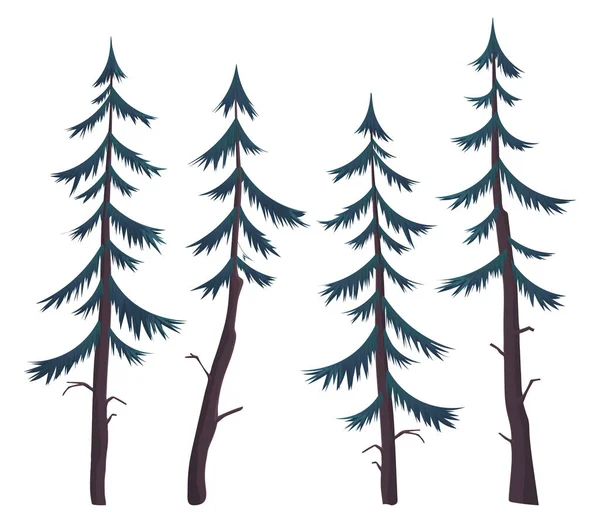 Conjunto de pinos vector, abetos o abetos. Bosque de coníferas. Flora y fauna. Imagen de vector plano — Vector de stock
