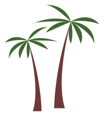 Palmiye ağacı çizimi. Beyaz zemin üzerinde izole tropik hindistan cevizi palmiyesi