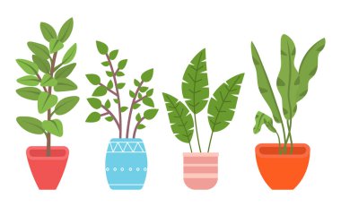 Her zaman yeşillik olan ev bitkileri. Eko tarzı illüstrasyon, modern ve zarif ev dekorasyonu, vektör çiçekleri