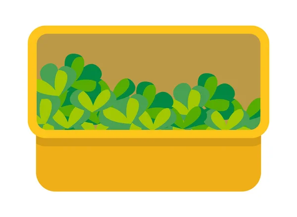 Scatola piatta di lattuga vettoriale. Verdure biologiche piccoli cespugli con foglie verdi in una scatola gialla — Vettoriale Stock