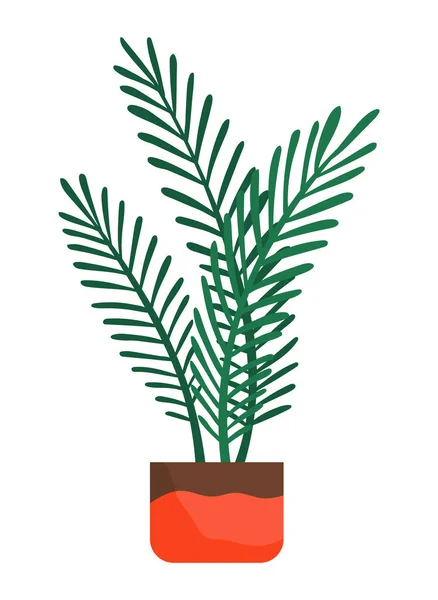 พืชสีเขียวตกแต่งที่มีใบยาวในหม้อเซรามิก, หม้อกับพืชบ้าน โรงงานภายในบ้าน — ภาพเวกเตอร์สต็อก