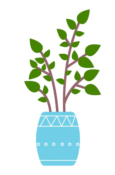 Plante verte décorative avec des feuilles courtes en pot en céramique, pot avec plante d'intérieur. Accueil plante intérieure — Image vectorielle