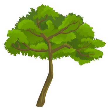 Beyaz arkaplanda izole edilmiş yeşil ağacın çizgi film çizimi, taçlı ağaç, raster simgesi