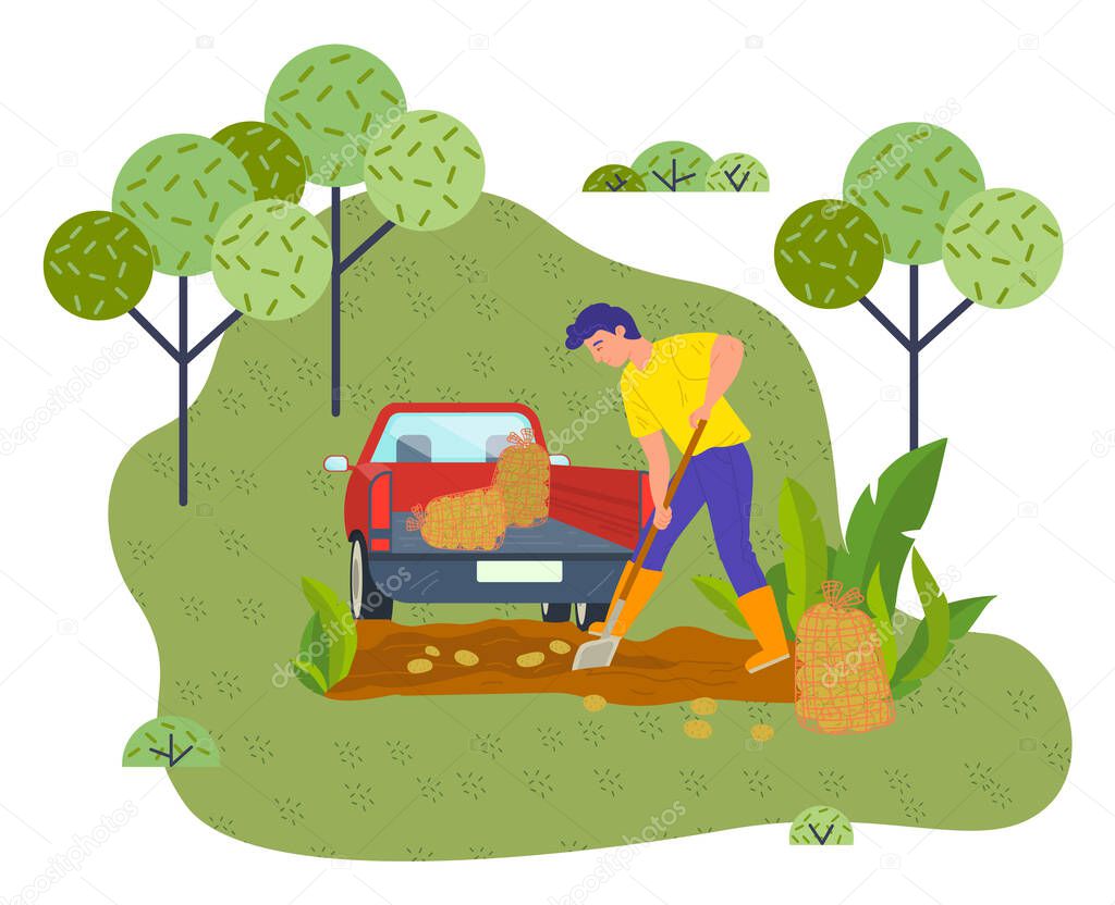 Young farmer digs potatoes in the garden. Minivan with trailer and potatoes in bags. Flat image