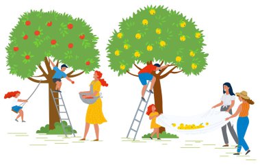 Bahçede Elma Toplayan İnsanlar, Bahçede Çiftçiler