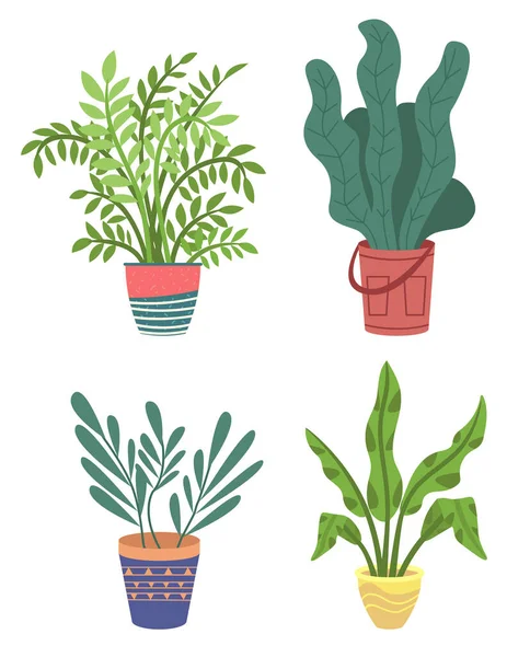 Conjunto de folhas longas verdes plantas em vasos para decoração de casa. Flores em vasos. Imagem vetorial plana — Vetor de Stock