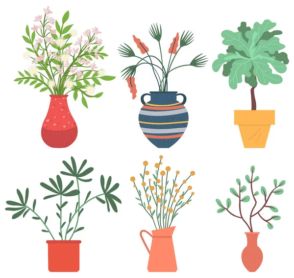 Vases的家庭植物，开花的花 — 图库矢量图片