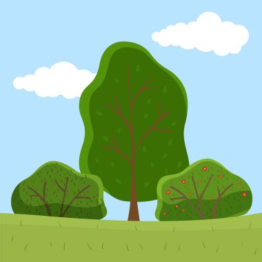 Yaz ağaçları ve çiçek açan çalılar, tarladaki çalılar, yeşil çimenler, bulutlu gökyüzü.