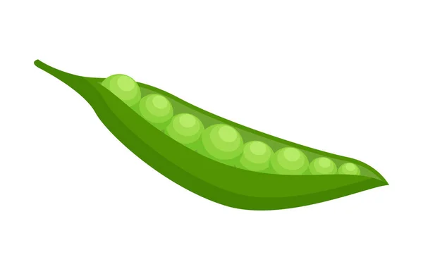 Cápsula de pérola verde aberta com ervilhas redondas de ameixa isoladas em fundo branco, produto ecológico, orgânico — Vetor de Stock