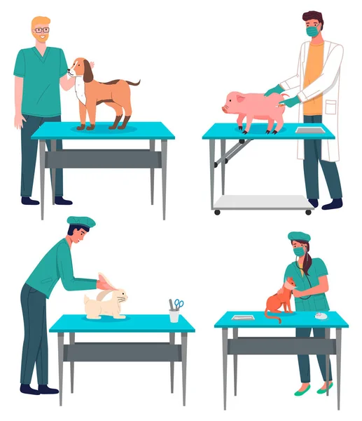 Médecin vétérinaire traiter les animaux dans le bureau de l'hôpital. Visite à la clinique vétérinaire pour vérifier la santé de l'animal de compagnie — Image vectorielle