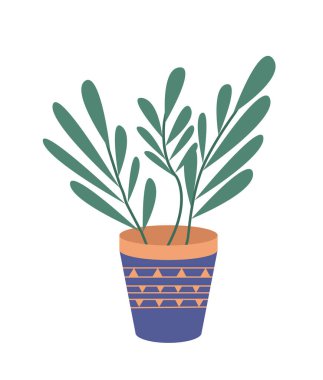 Seramik çömlekte uzun yapraklı dekoratif yeşil bitki, saksıda saksı. Ev içi fabrika