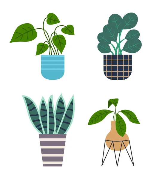 Set décoratif plante verte avec de longues feuilles en pot en céramique, pot avec plante d'intérieur. Accueil plante intérieure — Image vectorielle