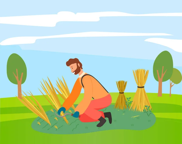 Fermier en salopette récoltant des épis de blé sur le champ. Agriculture, récolte d'automne — Image vectorielle