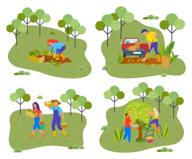 Bahçıvan koleksiyonu. İnsanlar sonbahar zamanı sebze ve meyve hasat eder. Hasat. Düz resim