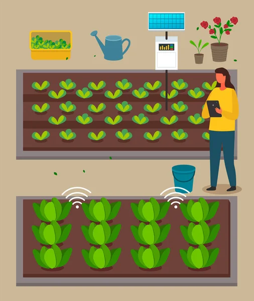 Agricultura urbana, mujer agricultora utilizando tecnología moderna, control a distancia del proceso de crecimiento — Archivo Imágenes Vectoriales