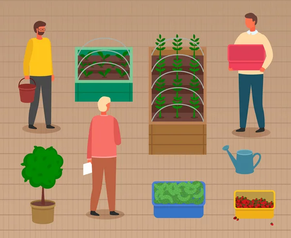 Kutularda filizlenmeyi, tahta kutularda sebze yetiştirmeyi, tarımı önemseyen bir grup insan. — Stok Vektör