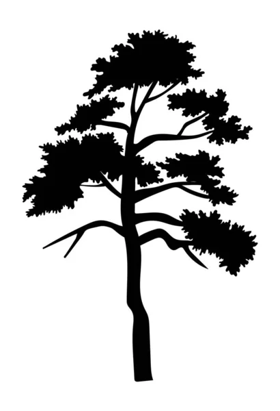 Illustrazione cartone animato di albero verde isolato su sfondo bianco, albero con corona, icona raster — Vettoriale Stock