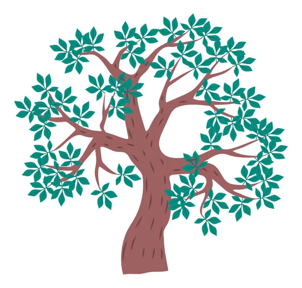 Icono del árbol, ilustración de dibujos animados de árbol verde con hojas aisladas en el fondo blanco, naturaleza — Vector de stock