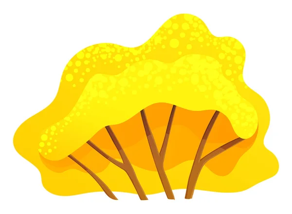 Árbol o arbusto amarillo brillante del otoño con una corona exuberante, tronco marrón delgado y ramas aisladas en blanco — Vector de stock