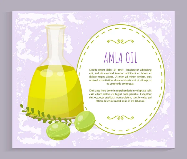 Информация о Amla Oil в сосудах, крыжовнике — стоковый вектор