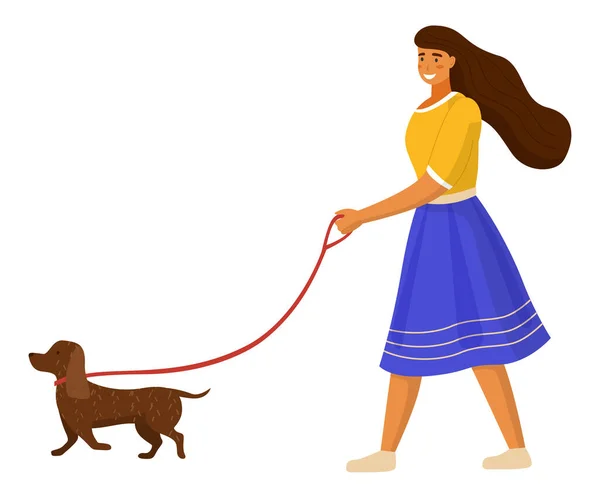 Young girl walking with dog in the park summer time. A happy pet dachshund running with the owner — Stock Vector