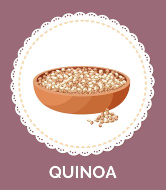 Tabakta kinoa taneleri. Vejetaryen protein vektör çizimi. Mısır gevreği lapa yapmak için.