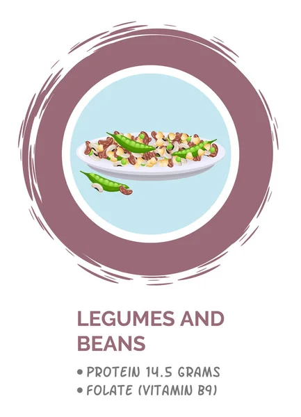 Plakát hasznos információkkal, egészséges menüvel, ételszerkezettel, hüvelyesekkel és babbal borsóval — Stock Vector