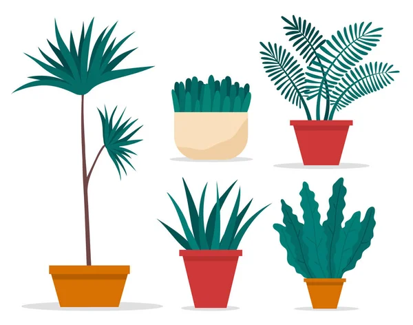 セラミック鍋に長い葉を持つ装飾的なセット緑の植物、観葉植物とポット。ホームインテリア工場 — ストックベクタ