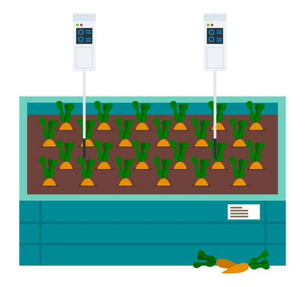 Zöldségek termesztése napenergiával. Répás doboz és talajanalizátor. Városi mezőgazdaság — Stock Vector