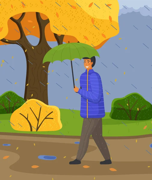 Man in blue jacket and pants carries umbrella, walking in autumn park, yellow tree, bushes, puddles — Stock Vector