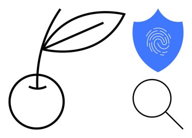 Cherry with leaves, magnifying glass, shield with fingerprint conveying themes of nature, research, privacy, biometrics, security, innovation and technology. Ideal for simple flat metaphor